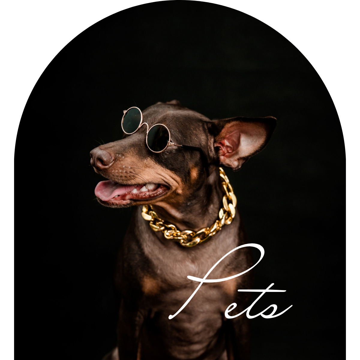 Pet Collection