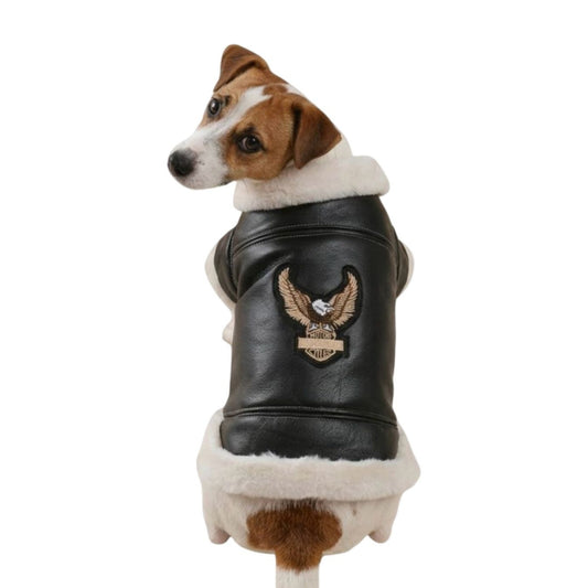 Dog Jacket - Hells Angels - Black